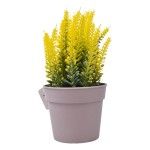 PLANTA C/ VASO 2440-014 CX144