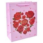 SACO 18X23X10 2419-513 CX360