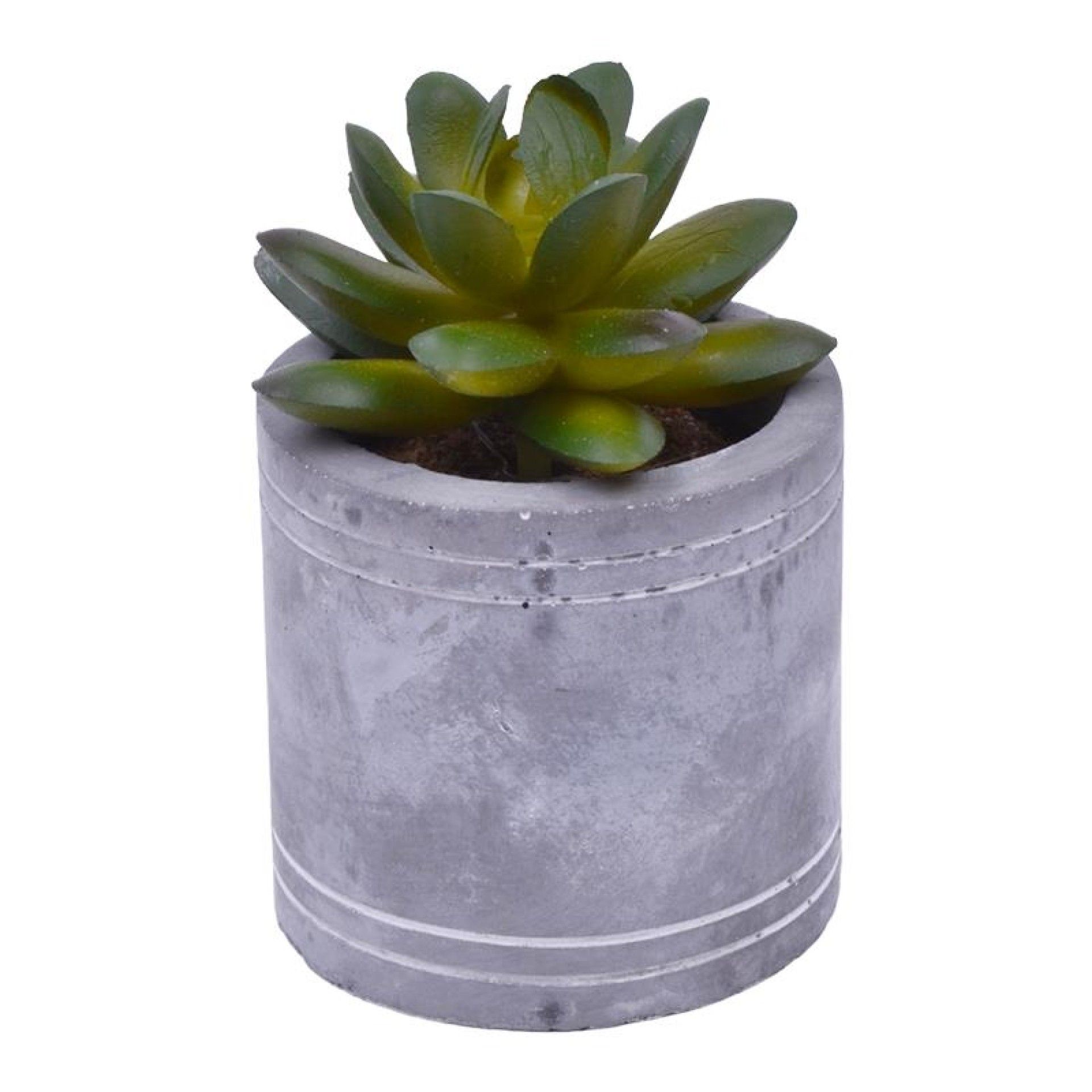 VASO C/CATO 6.3X6.3CM 2639-202 CX96 VASO C/CATO 6.3X6.3CM 2639-202 CX96