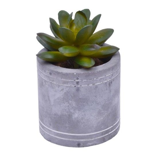 VASO C/CATO 6.3X6.3CM 2639-202 CX96 VASO C/CATO 6.3X6.3CM 2639-202 CX96