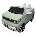 CARRO ELET INF 57X77X108CM 3004-101 CX1