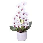 VASO C/FLOR 56CM 2439-132 CX