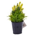 PLANTA C/ VASO 2647-004-02 CX144