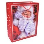 SACO NATAL 31x42x12CM 2419-084-02 CX240
