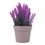 PLANTA C/ VASO 2440-014 CX144