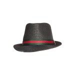 CHAPEU HOMEM 203-153 CX240