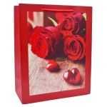 SACO 31X42X12 2419-505-02 CX240