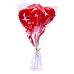 CORAAO AMO-TE10CM 3UN 1619-008 CX180