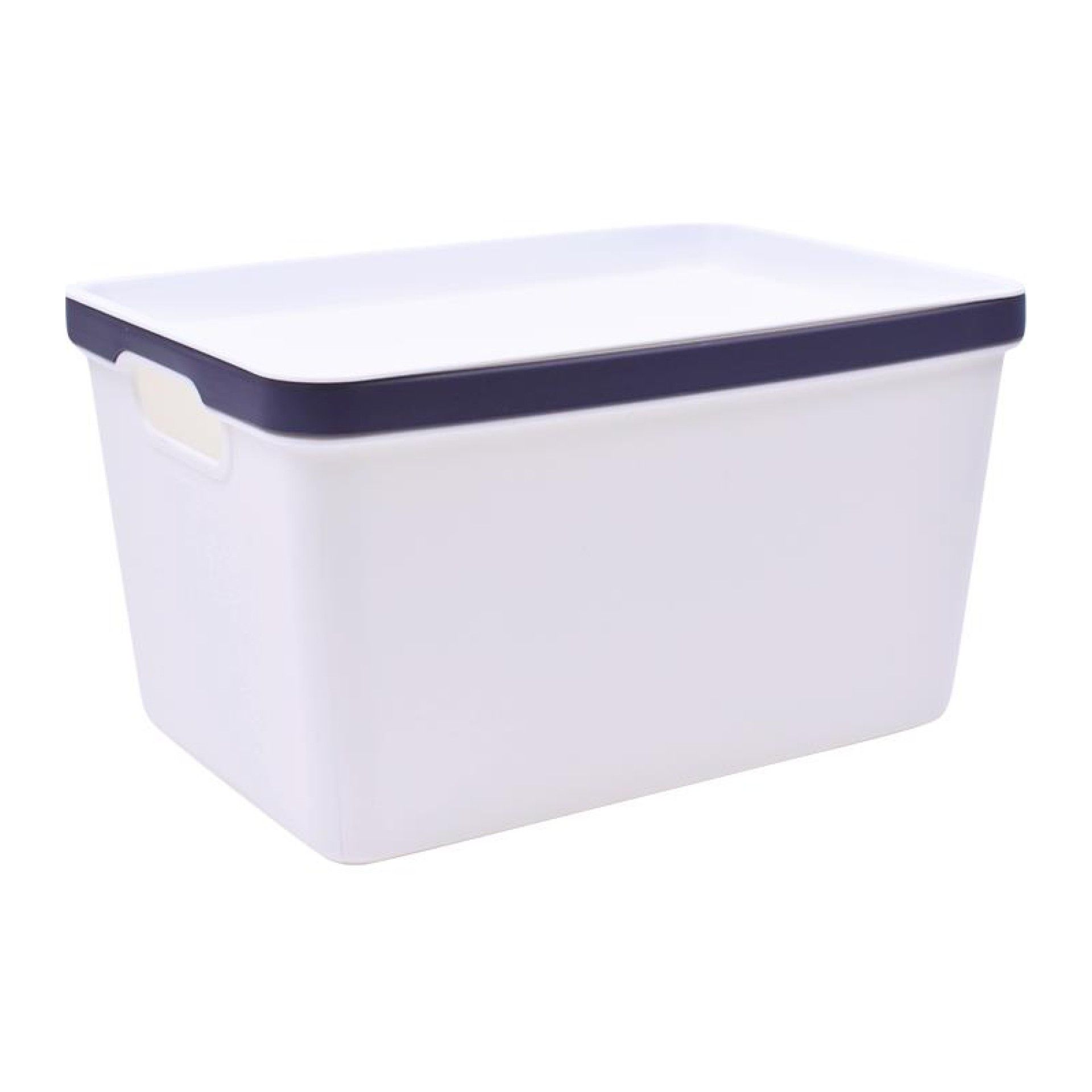 CESTO PLAST C/ASAS 2630-513-02 CX80 CESTO PLAST C/ASAS 2630-513-02 CX80