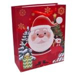 SACO PAPEL 3D 40X30X12 1968-503-02CX180 SACO PAPEL 3D 40X30X12 1968-503-02CX180