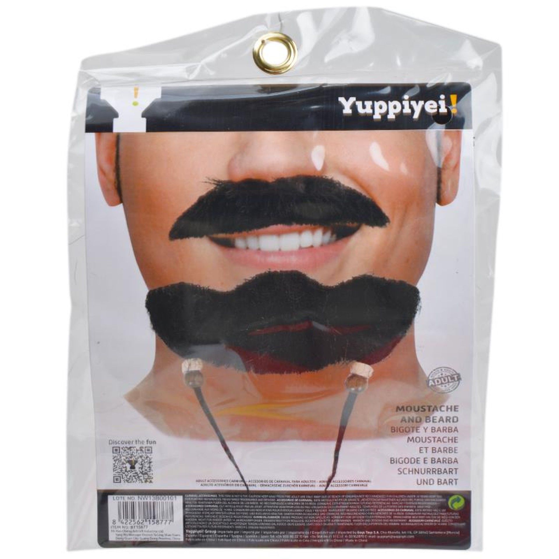CARNAVAL BIGODE