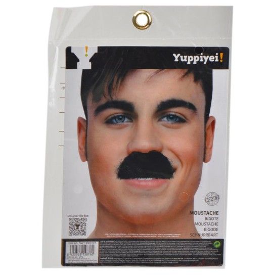 CARNAVAL BIGODE