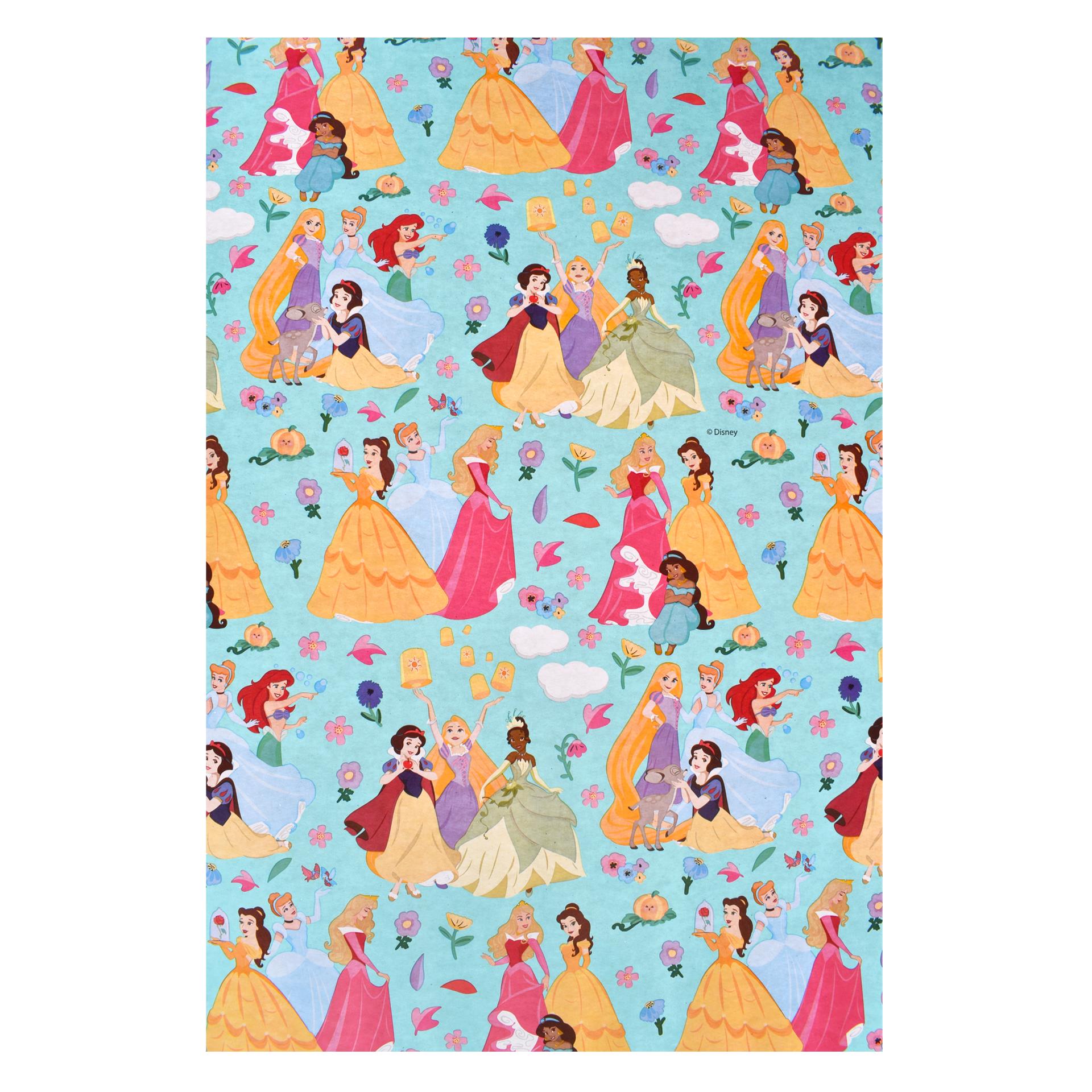 PAPEL EMBRULHO PRINCESS 70200CM PAPEL EMBRULHO PRINCESS 70200CM