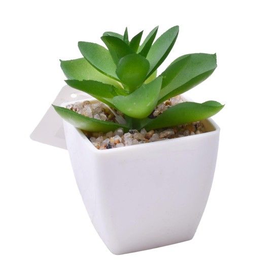 PLANTA C/VASO 6X6X5CM 2884-007-02 CX192 PLANTA C/VASO 6X6X5CM 2884-007-02 CX192