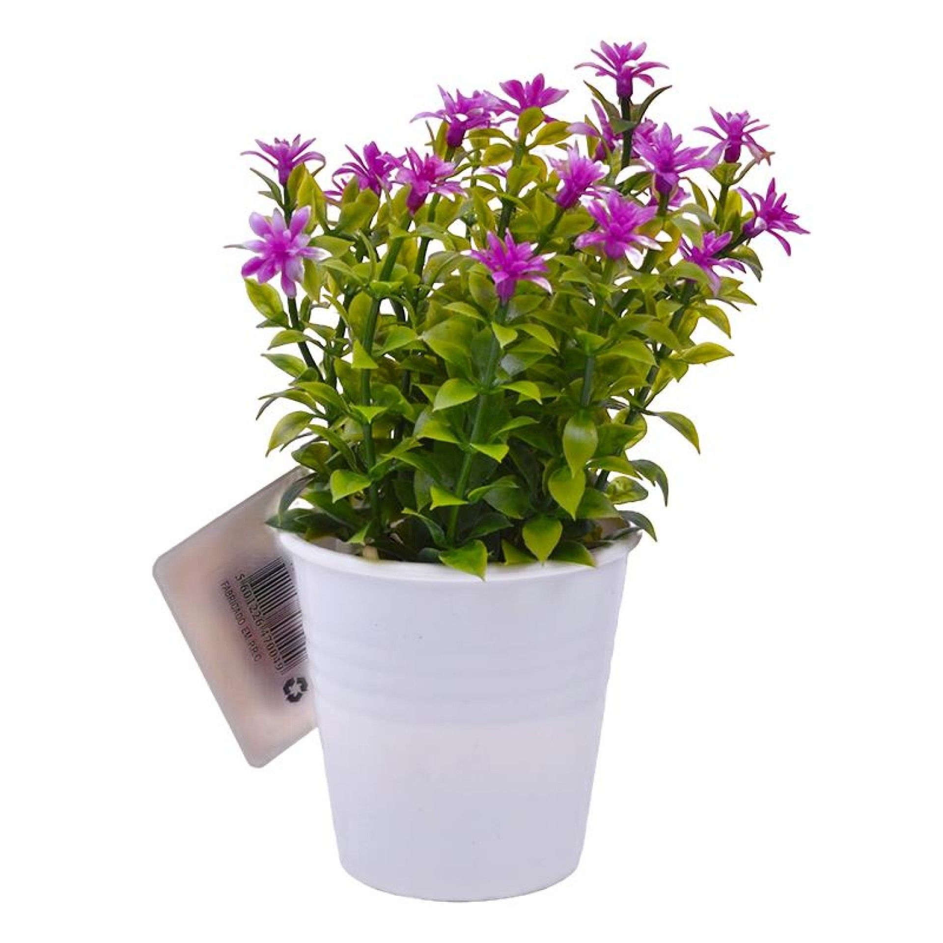 PLANTA C/ VASO 2647-004 CX144 PLANTA C/ VASO 2647-004 CX144