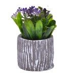 PLANTA C/ VASO 202-996-01 CX96