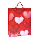SACO 41,5X30X12CM 3019-200-02 CX180