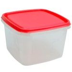 PLASTICO CAIXA QUAD. 2.5L