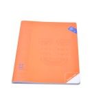 CADERNO AGRAFADO A5  PAUTADO 48F