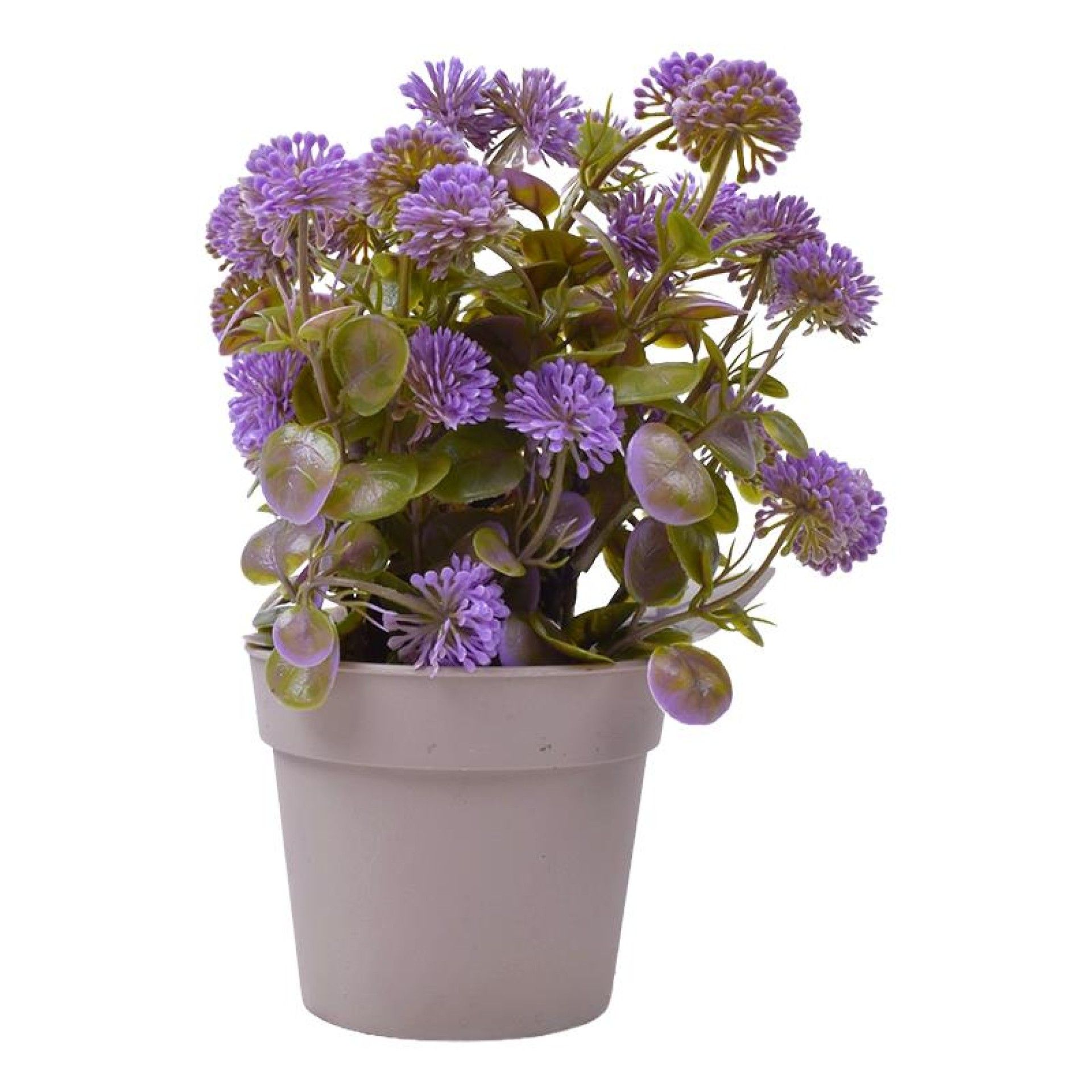 PLANTA C/ VASO 2440-017 CX 144 PLANTA C/ VASO 2440-017 CX 144