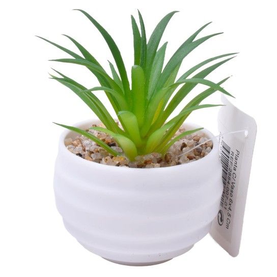PLANTA C/VASO 6X4,5CM 2884-007-01 CX192