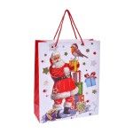 SACO NATAL 23X10X18CM  2987-053 CX480