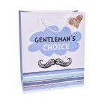 SACO PRESENTE 23X18X10 2317-052 CX480