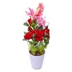 VASO C/FLOR 13X15X60 CM 2439-503 CX12