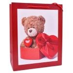 SACO 31X42X12 2419-505-02 CX240