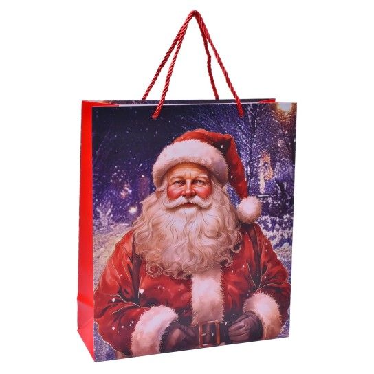 SACO PAPEL 32X26X10CM 2710-015-01 CX360