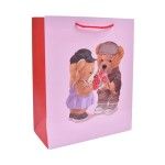 SACO 18X23X10CM 2419-504 CX360