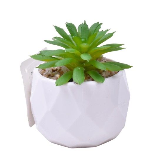 PLANTA C/VASO 6X4,5CM 2884-007 CX192 PLANTA C/VASO 6X4,5CM 2884-007 CX192