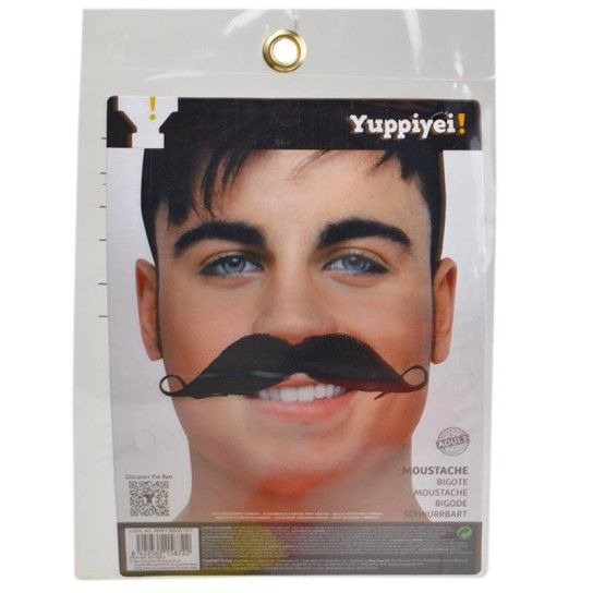 CARNAVAL BIGODE