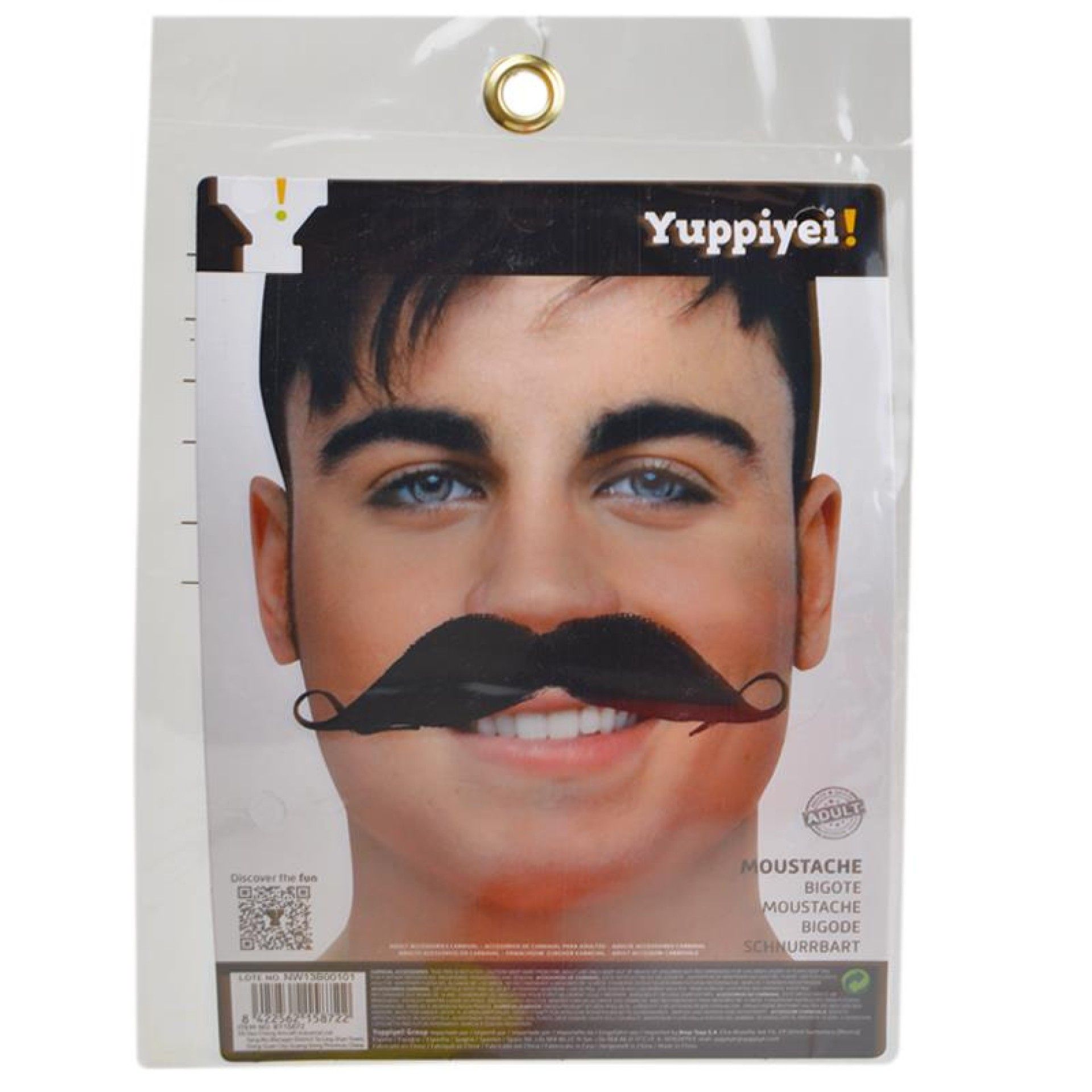 CARNAVAL BIGODE