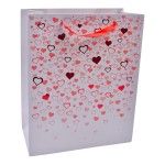 SACO 31X42X12 2417-061-02 CX240