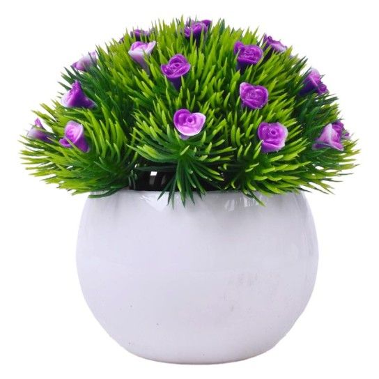 PLANTA C/ VASO 2440-021 CX144
