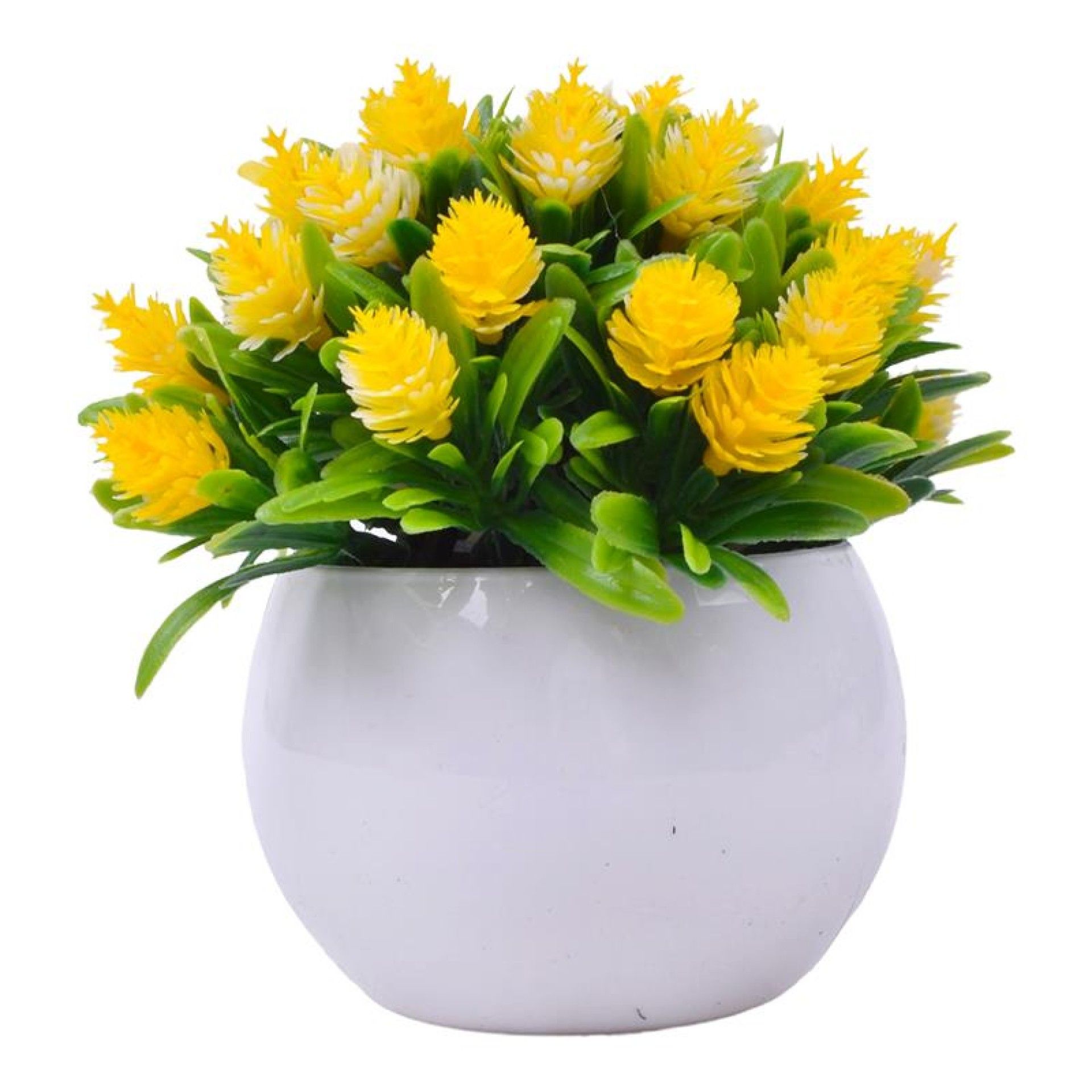 PLANTA C/ VASO 2440-023 CX144