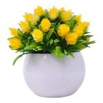 PLANTA C/ VASO 2440-023 CX144