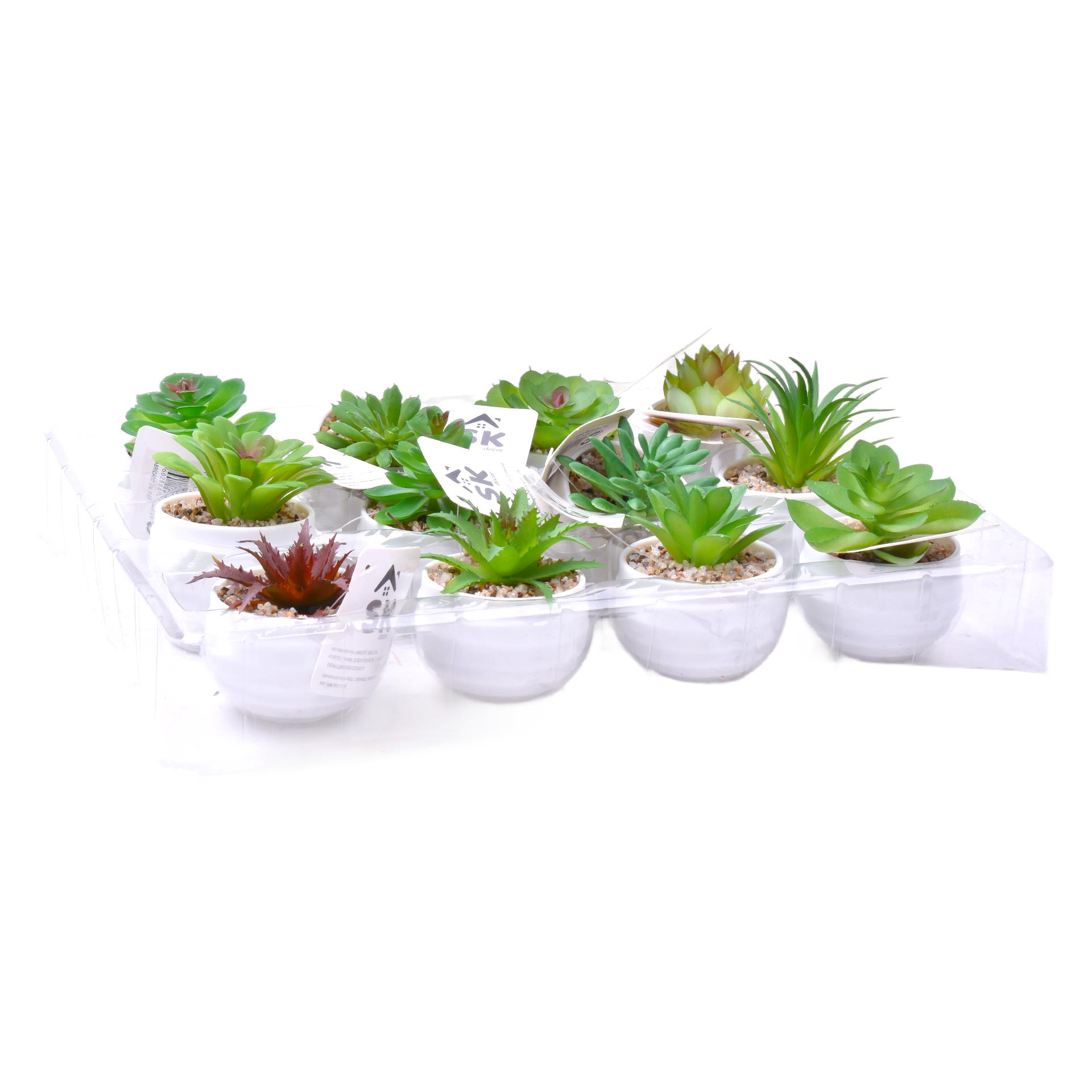 PLANTA C/VASO 6X4,5CM 2884-007-01 CX192