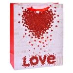 SACO 23X18X10CM 3025-001-01 CX360