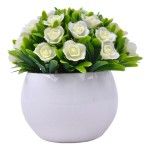 PLANTA C/ VASO 2440-022 CX144