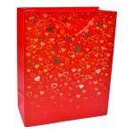 SACO 31X42X12 2417-061-02 CX240