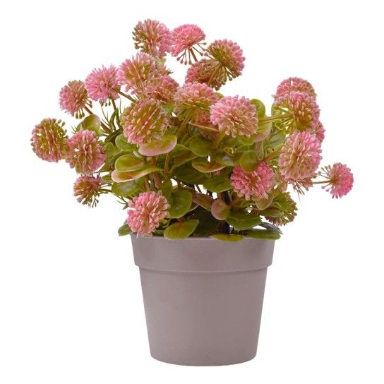 PLANTA C/ VASO 2440-017 CX 144 PLANTA C/ VASO 2440-017 CX 144