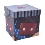 CAIXA PRESENTE 15X15X15 1968-010-01 CX240 CAIXA PRESENTE 15X15X15 1968-010-01 CX240