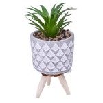 VASO DEC 2574-005 CX96