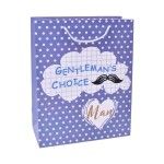 SACO PRESENTE 23X18X10 2317-052 CX480