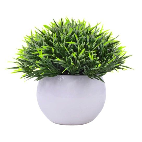 PLANTA C/ VASO 2440-013 CX144 PLANTA C/ VASO 2440-013 CX144