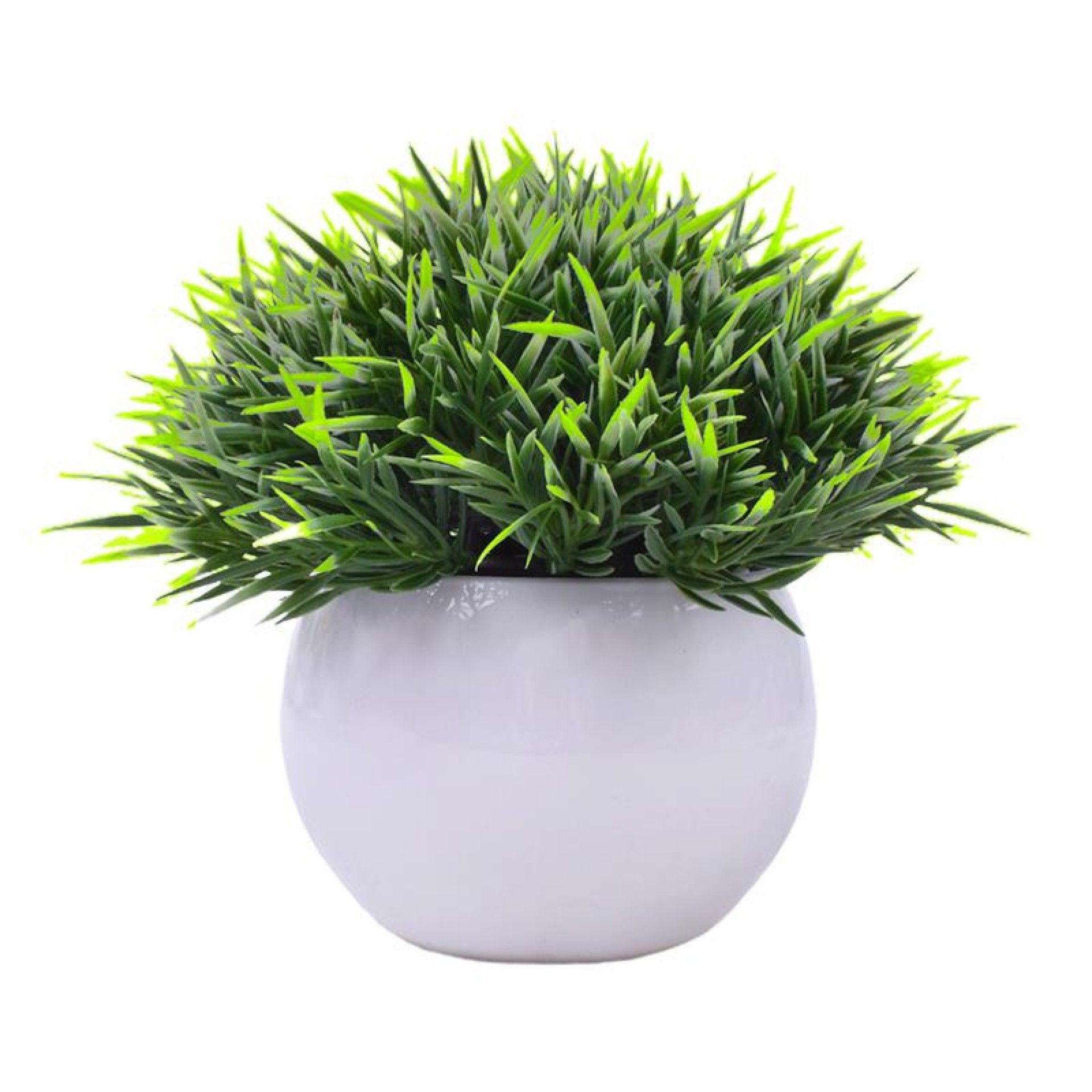 PLANTA C/ VASO 2440-013 CX144 PLANTA C/ VASO 2440-013 CX144