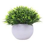 PLANTA C/ VASO 2440-013 CX144
