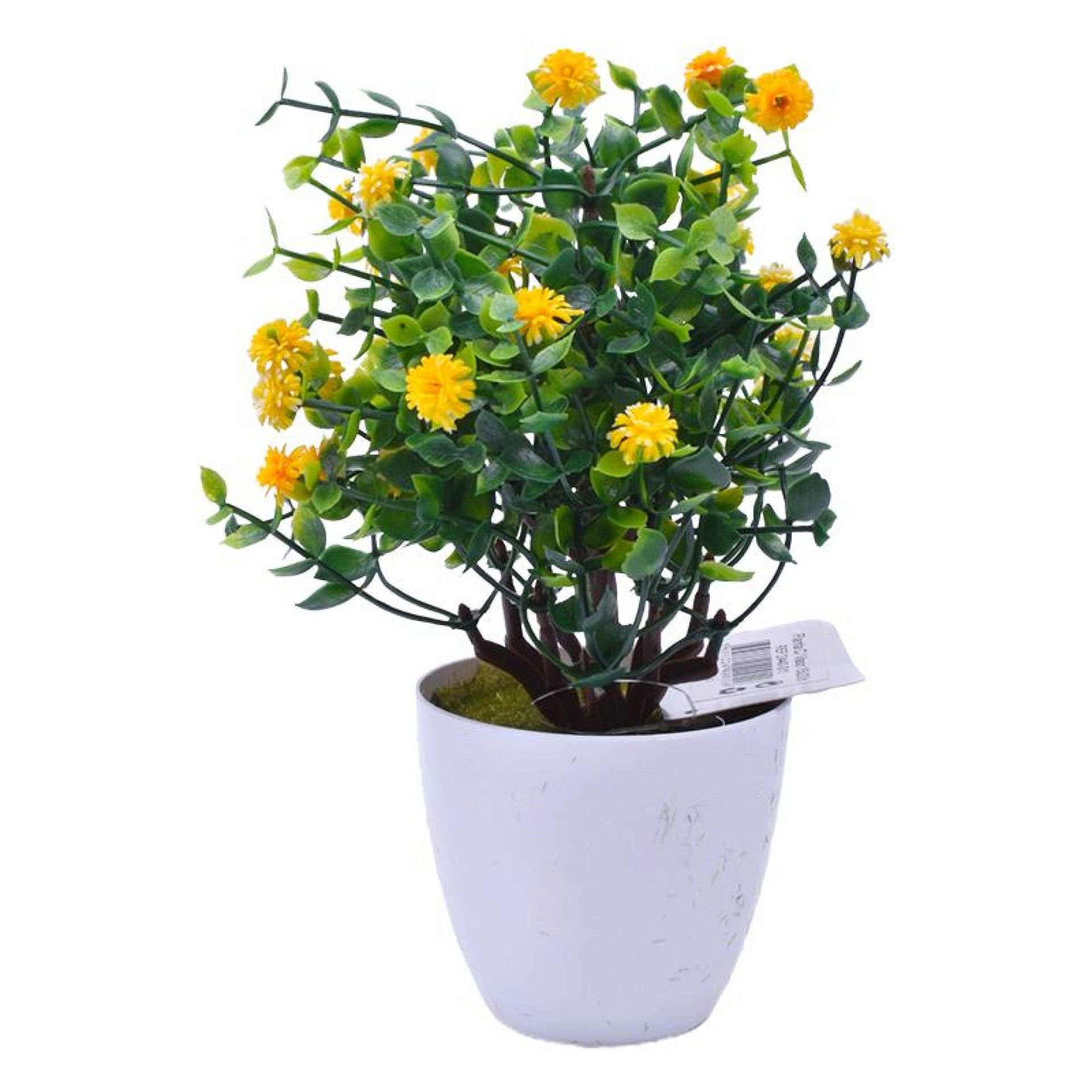 PLANTA VASO 15X23 2440-011 CX144 PLANTA VASO 15X23 2440-011 CX144